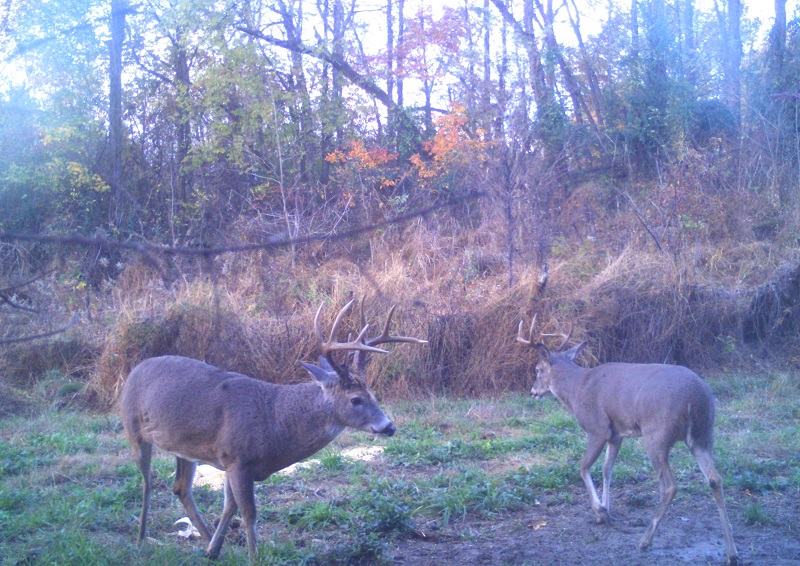 Kentucky Hunts